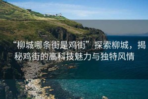 “柳城哪條街是雞街”探索柳城，揭秘雞街的高科技魅力與獨(dú)特風(fēng)情