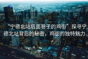 “寧德北站后面巷子的雞街”探尋寧德北站背后的秘密，雞街的獨特魅力
