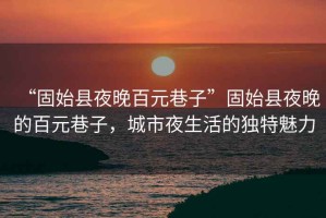 “固始縣夜晚百元巷子”固始縣夜晚的百元巷子，城市夜生活的獨(dú)特魅力