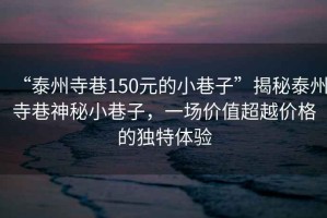 “泰州寺巷150元的小巷子”揭秘泰州寺巷神秘小巷子，一場價值超越價格的獨特體驗