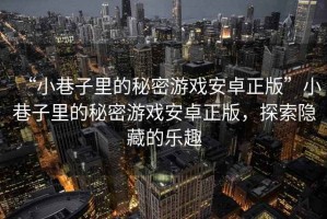 “小巷子里的秘密游戲安卓正版”小巷子里的秘密游戲安卓正版，探索隱藏的樂趣