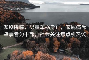 悲劇降臨，男童車禍身亡，家屬痛斥肇事者為干部，社會(huì)關(guān)注焦點(diǎn)引熱議