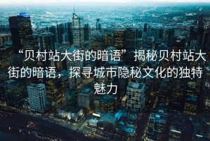 “貝村站大街的暗語(yǔ)”揭秘貝村站大街的暗語(yǔ)，探尋城市隱秘文化的獨(dú)特魅力