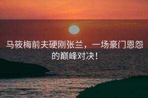 馬筱梅前夫硬剛張?zhí)m，一場(chǎng)豪門(mén)恩怨的巔峰對(duì)決！