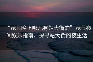 “茂縣晚上哪兒有站大街的”茂縣夜間娛樂指南，探尋站大街的夜生活