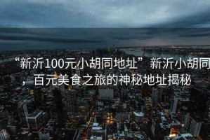 “新沂100元小胡同地址”新沂小胡同，百元美食之旅的神秘地址揭秘