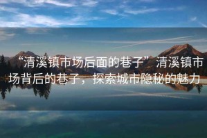 “清溪鎮(zhèn)市場(chǎng)后面的巷子”清溪鎮(zhèn)市場(chǎng)背后的巷子，探索城市隱秘的魅力