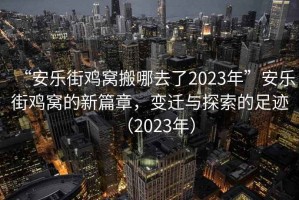 “安樂街雞窩搬哪去了2023年”安樂街雞窩的新篇章，變遷與探索的足跡（2023年）