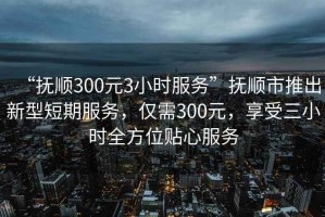“撫順300元3小時(shí)服務(wù)”撫順市推出新型短期服務(wù)，僅需300元，享受三小時(shí)全方位貼心服務(wù)