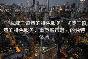 “武威三道巷的特色服務(wù)”武威三道巷的特色服務(wù)，重塑城市魅力的獨(dú)特體驗(yàn)
