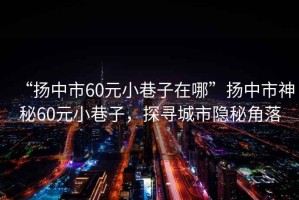 “揚(yáng)中市60元小巷子在哪”揚(yáng)中市神秘60元小巷子，探尋城市隱秘角落