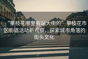 “攀枝花哪里有站大街的”攀枝花市區(qū)街道活動(dòng)新觀察，探索城市角落的街頭文化