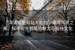 “漳浦哪里有站大街的”漳浦風(fēng)景之美，探尋街頭巷尾的魅力與獨(dú)特文化
