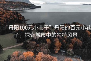 “丹陽(yáng)100元小巷子”丹陽(yáng)的百元小巷子，探索城市中的獨(dú)特風(fēng)景