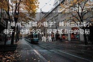 “嵊州三江城小巷子”嵊州三江城小巷子，古韻今風(fēng)，探尋城市中的隱秘角落
