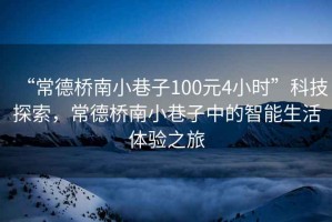 “常德橋南小巷子100元4小時”科技探索，常德橋南小巷子中的智能生活體驗之旅