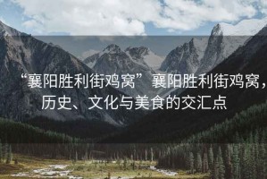“襄陽勝利街雞窩”襄陽勝利街雞窩，歷史、文化與美食的交匯點(diǎn)