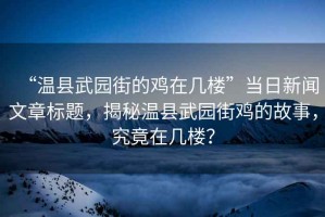 “溫縣武園街的雞在幾樓”當(dāng)日新聞文章標(biāo)題，揭秘溫縣武園街雞的故事，究竟在幾樓？
