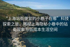 “上海站街便宜的小巷子在哪”科技探索之旅，揭秘上海隱秘小巷中的站街現(xiàn)象與低成本生活空間