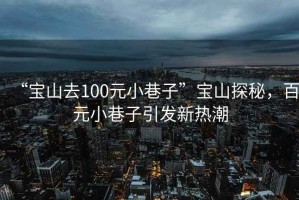 “寶山去100元小巷子”寶山探秘，百元小巷子引發(fā)新熱潮