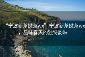 “寧波新茶嫩茶wx”寧波新茶嫩茶wx，品味春天的獨(dú)特韻味