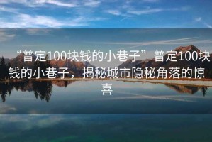 “普定100塊錢的小巷子”普定100塊錢的小巷子，揭秘城市隱秘角落的驚喜
