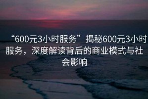 “600元3小時(shí)服務(wù)”揭秘600元3小時(shí)服務(wù)，深度解讀背后的商業(yè)模式與社會(huì)影響