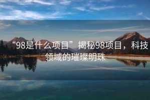 “98是什么項目”揭秘98項目，科技領(lǐng)域的璀璨明珠
