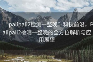 “palipali2檢測一整晚”科技前沿，Palipali2檢測一整晚的全方位解析與應(yīng)用展望