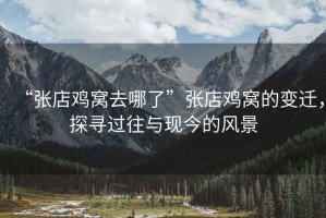 “張店雞窩去哪了”張店雞窩的變遷，探尋過(guò)往與現(xiàn)今的風(fēng)景