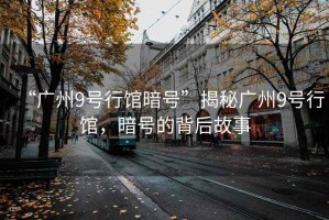 “廣州9號行館暗號”揭秘廣州9號行館，暗號的背后故事