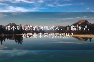 賺不到錢的酒店機器人，面臨轉型，酒店業(yè)未來何去何從？