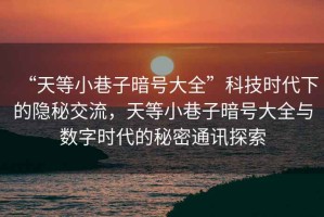 “天等小巷子暗號(hào)大全”科技時(shí)代下的隱秘交流，天等小巷子暗號(hào)大全與數(shù)字時(shí)代的秘密通訊探索