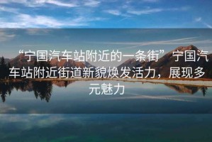 “寧國(guó)汽車(chē)站附近的一條街”寧國(guó)汽車(chē)站附近街道新貌煥發(fā)活力，展現(xiàn)多元魅力