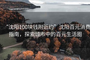 “沈陽(yáng)100塊錢附近約”沈陽(yáng)百元消費(fèi)指南，探索城市中的百元生活圈