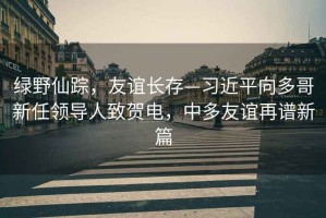 綠野仙蹤，友誼長(zhǎng)存—習(xí)近平向多哥新任領(lǐng)導(dǎo)人致賀電，中多友誼再譜新篇