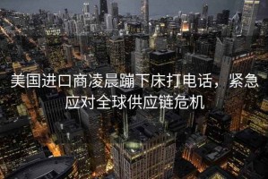 美國(guó)進(jìn)口商凌晨蹦下床打電話，緊急應(yīng)對(duì)全球供應(yīng)鏈危機(jī)