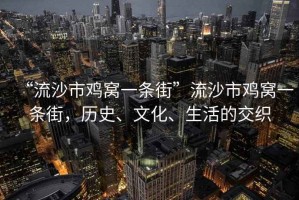 “流沙市雞窩一條街”流沙市雞窩一條街，歷史、文化、生活的交織