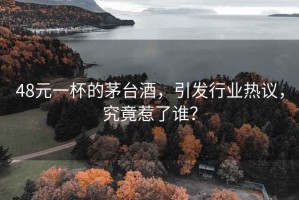 48元一杯的茅臺(tái)酒，引發(fā)行業(yè)熱議，究竟惹了誰？