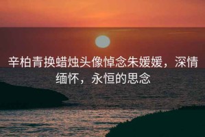 辛柏青換蠟燭頭像悼念朱媛媛，深情緬懷，永恒的思念