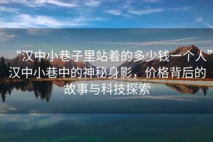 “漢中小巷子里站著的多少錢一個人”漢中小巷中的神秘身影，價格背后的故事與科技探索