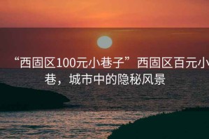 “西固區(qū)100元小巷子”西固區(qū)百元小巷，城市中的隱秘風(fēng)景