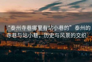 “泰州寺巷哪里有站小巷的”泰州的寺巷與站小巷，歷史與風景的交織