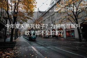 今年夏天熱死蚊子？為何氣溫飆升，蚊子卻不見蹤影？