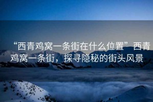 “西青雞窩一條街在什么位置”西青雞窩一條街，探尋隱秘的街頭風(fēng)景