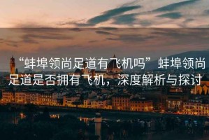 “蚌埠領尚足道有飛機嗎”蚌埠領尚足道是否擁有飛機，深度解析與探討