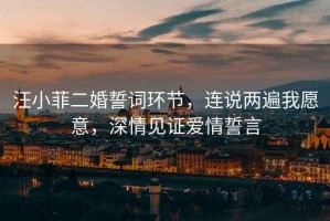 汪小菲二婚誓詞環(huán)節(jié)，連說(shuō)兩遍我愿意，深情見(jiàn)證愛(ài)情誓言