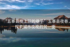 “五寨縣晚上玩的巷子”五寨縣夜巷，探索城市夜晚的另一面