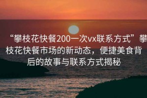 “攀枝花快餐200一次vx聯(lián)系方式”攀枝花快餐市場的新動態(tài)，便捷美食背后的故事與聯(lián)系方式揭秘