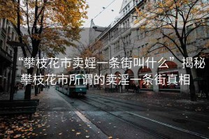 “攀枝花市賣婬一條街叫什么”揭秘攀枝花市所謂的賣淫一條街真相